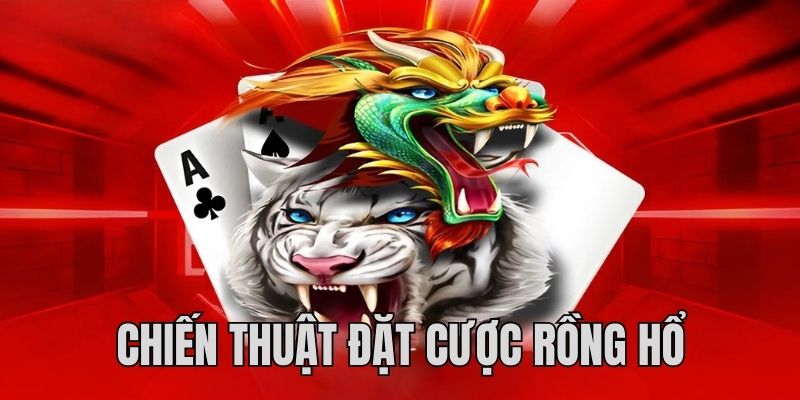 Cách chơi Rồng Hổ, hiệu quả, tăng lợi nhuận cho người mới